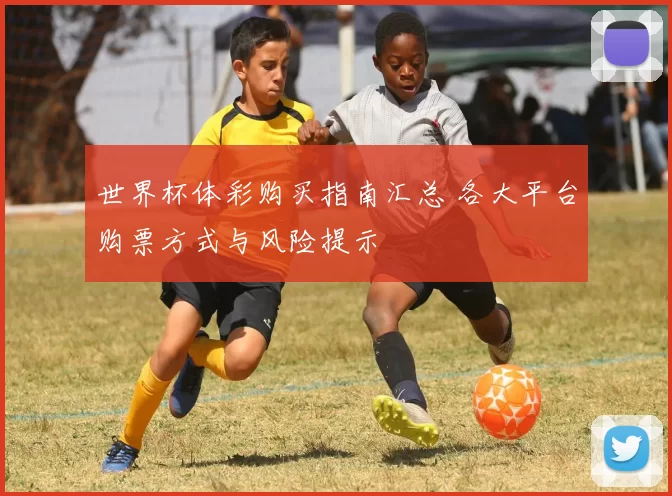 世界杯体彩购买指南汇总 各大平台购票方式与风险提示