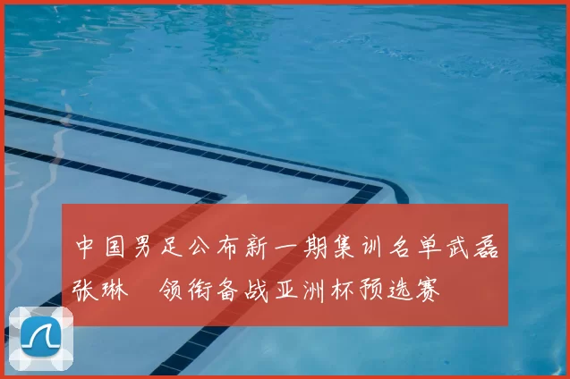 中国男足公布新一期集训名单武磊张琳芃领衔备战亚洲杯预选赛