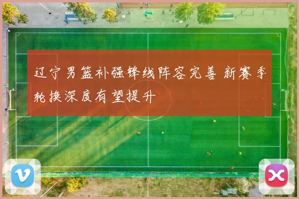 辽宁男篮补强锋线阵容完善 新赛季轮换深度有望提升