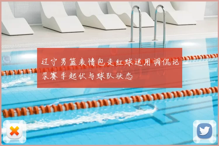 辽宁男篮表情包走红球迷用调侃记录赛季起伏与球队状态