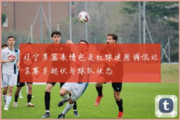 辽宁男篮表情包走红球迷用调侃记录赛季起伏与球队状态